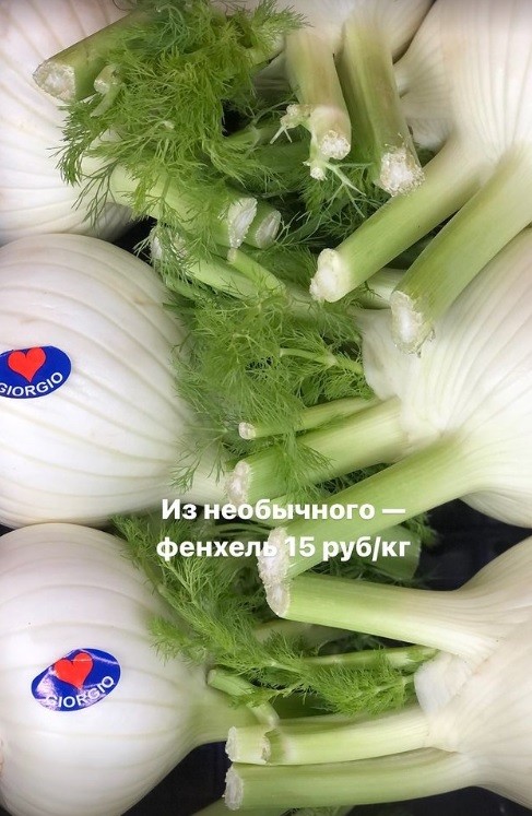 рынок фенхель цены