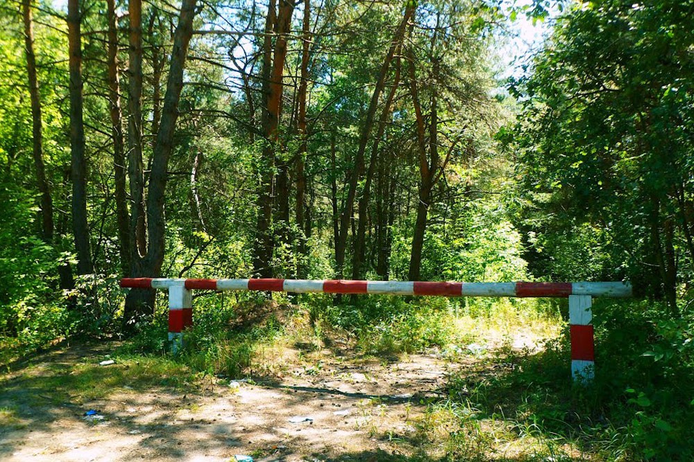 В Беларуси появились районы, где ограничено посещение лесов