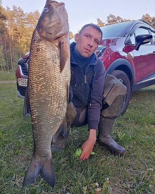 рыбалка Гродно жерех