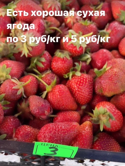 Даже вот так клубнику продавали в "Таборах"