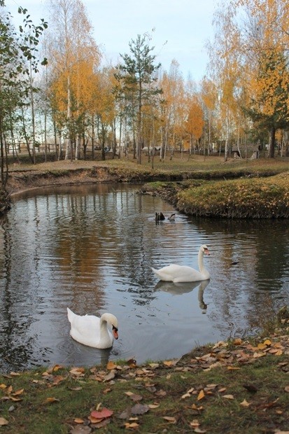 Парк животных Барановичи