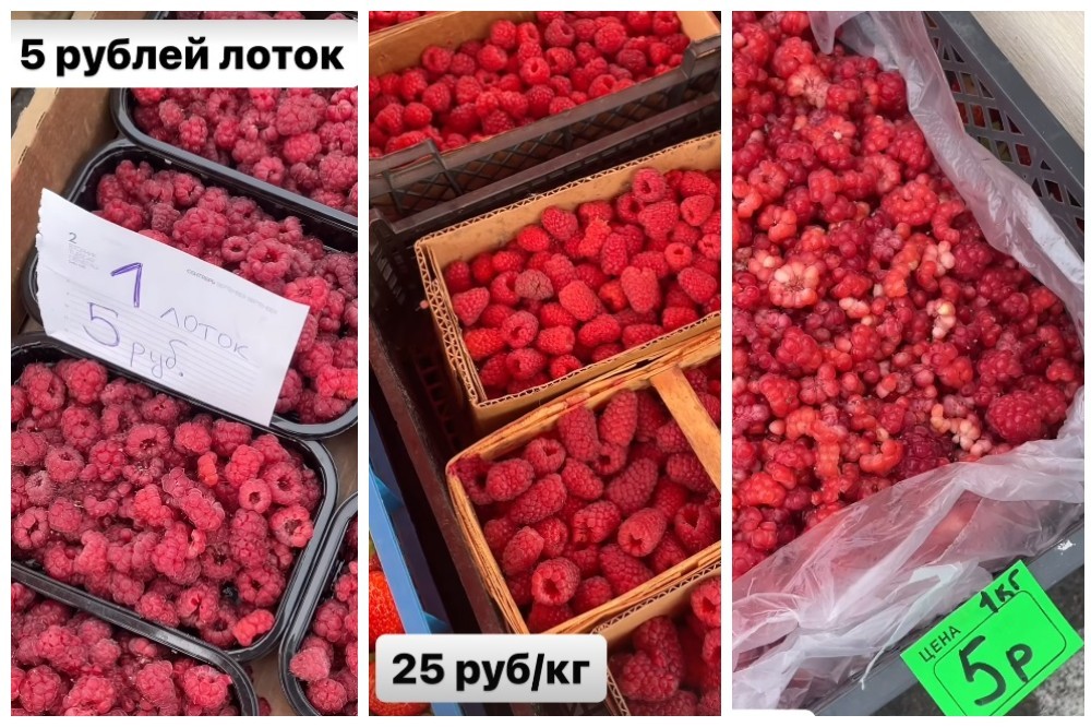 Малина от 5 до 25 рублей: какие цены на продукты на рынках Беларуси