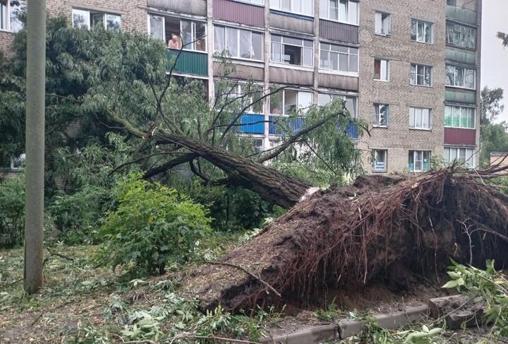 В одном из регионов Беларуси объявлена чрезвычайная ситуация