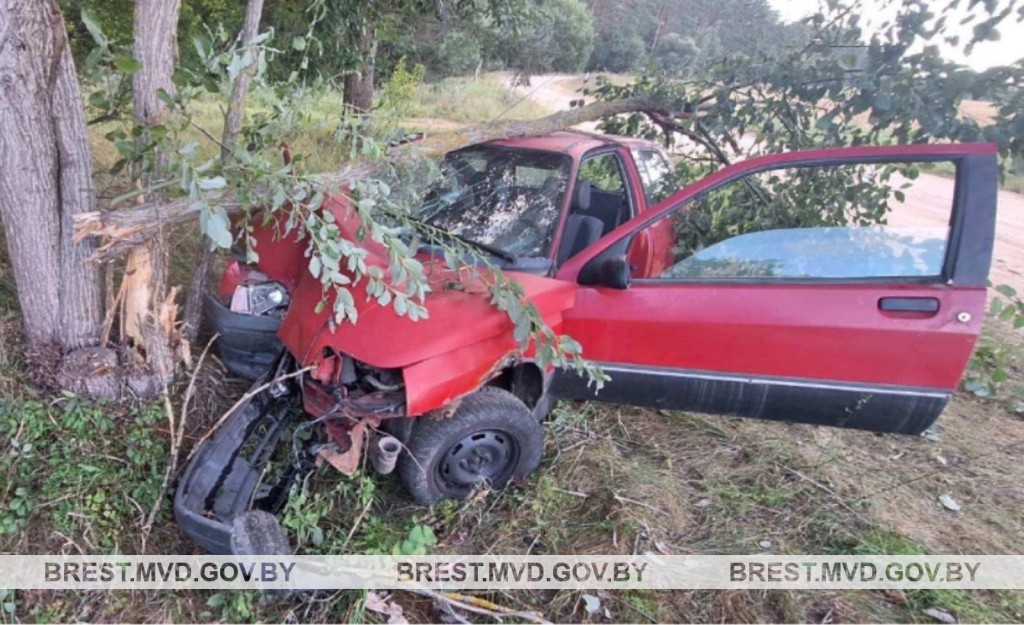 Пьяный водитель-бесправник врезался в дерево в Пружанском районе