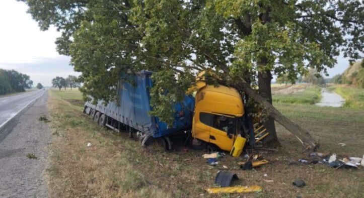 В Столинском районе фура вылетела в кювет и врезалась в дерево