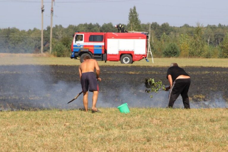 Пожар в Дрогичинском районе, деревня Сёмоновщина