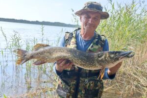 Большую щуку поймали в Олтуше Малоритский район рыбалка