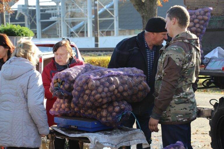 Картофель на ярмарке в Ивацевичах