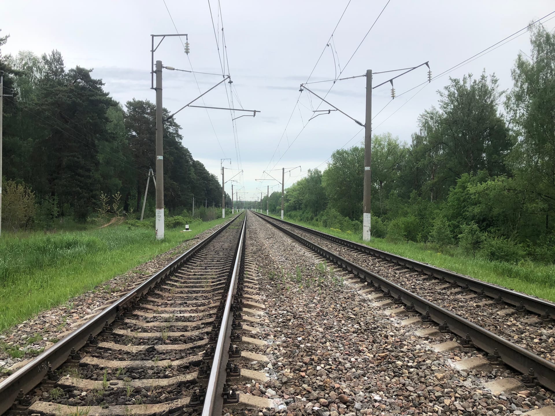 В Ганцевичском районе поезд сбил насмерть пожилую женщину