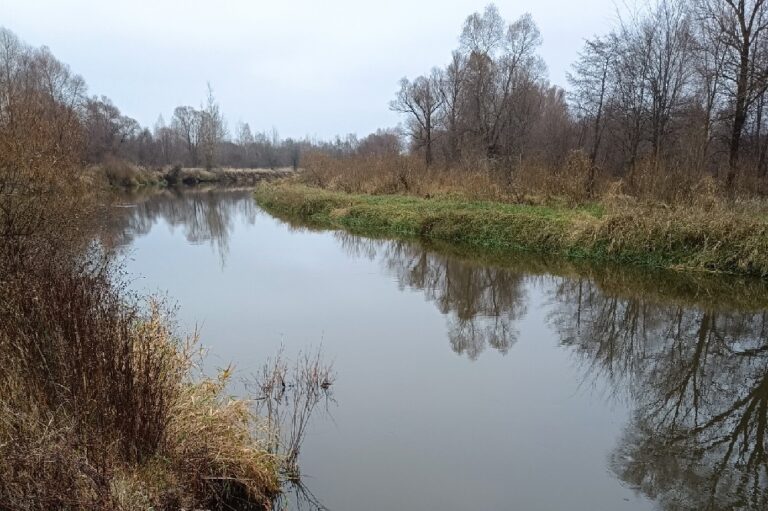 Погода в Беларуси